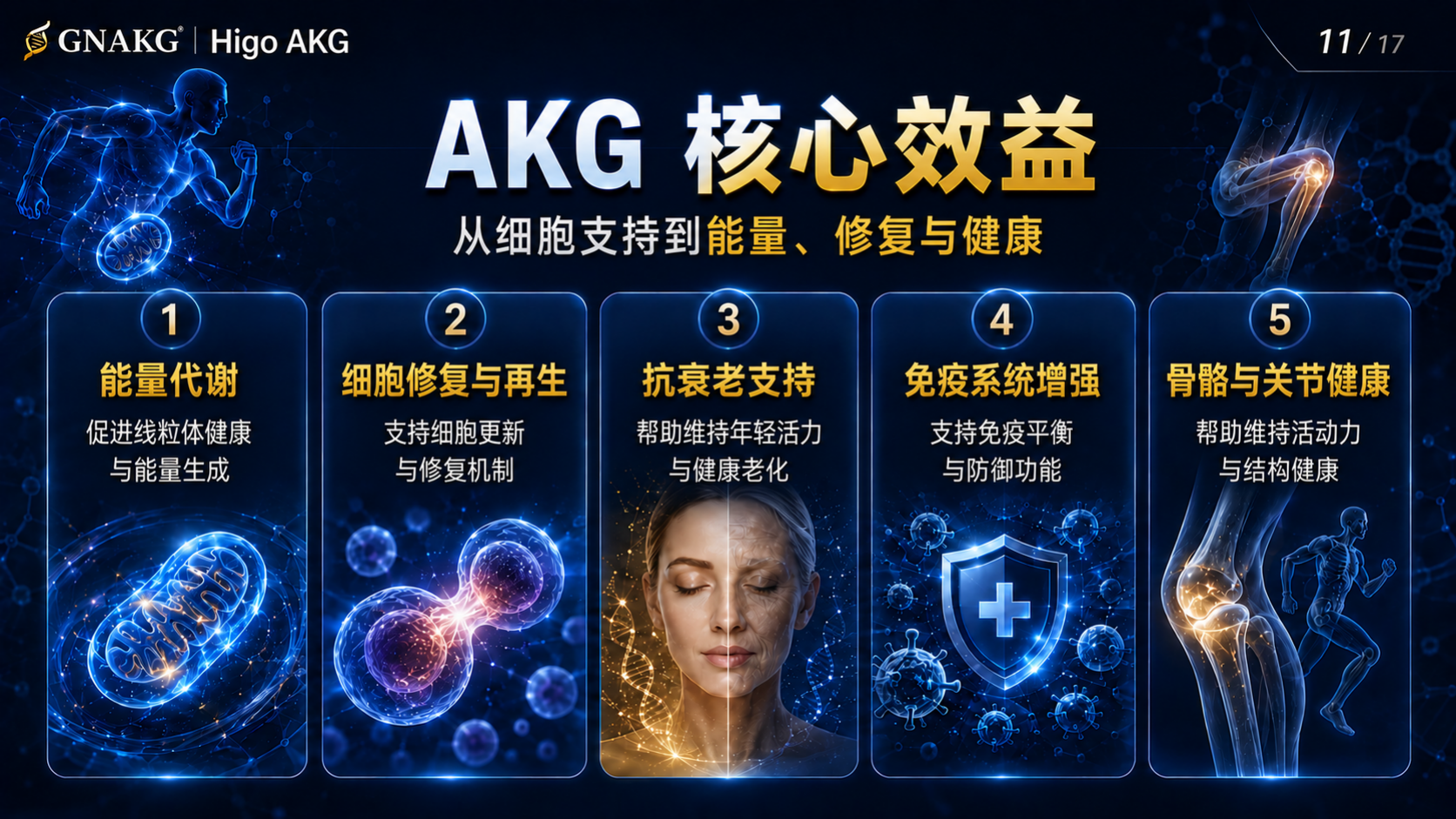 细胞能量与每日活力