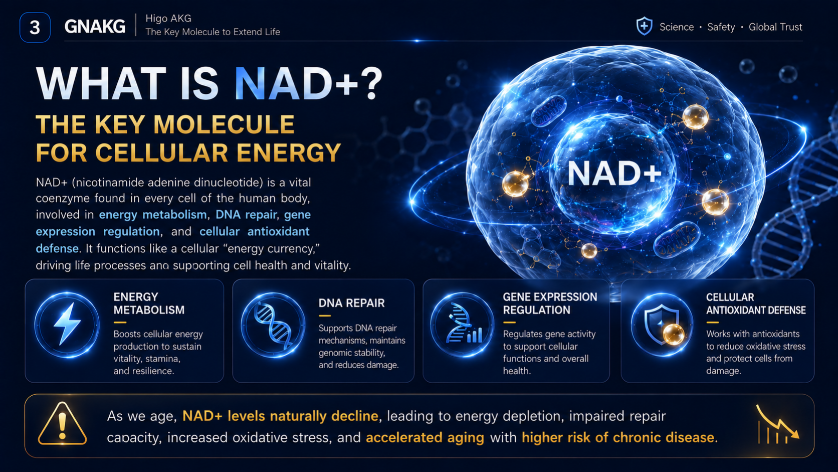 NAD+ and cellular energy