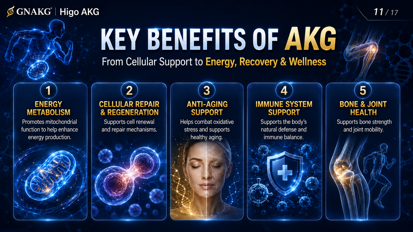 Cellular energy and daily vitality