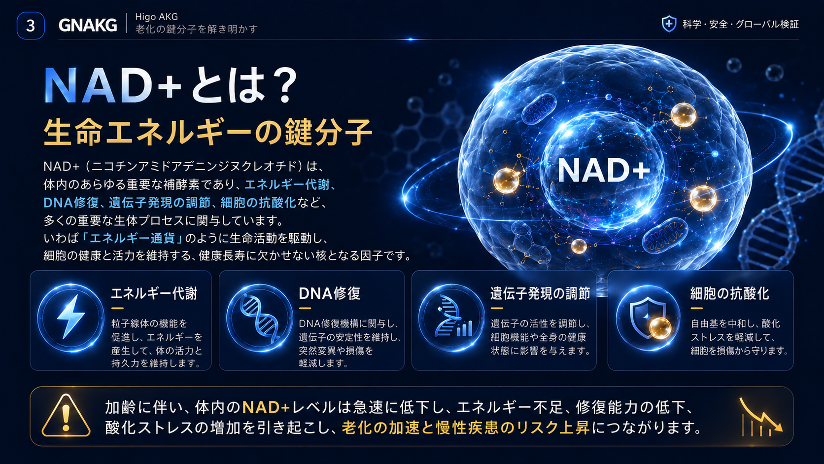 NAD+と細胞エネルギー