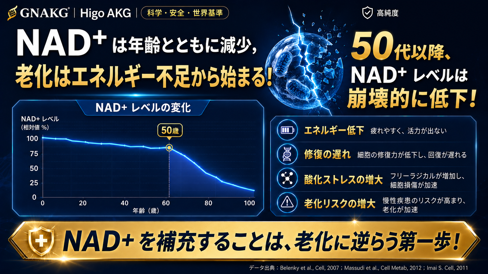 健康長寿とアンチエイジング研究
