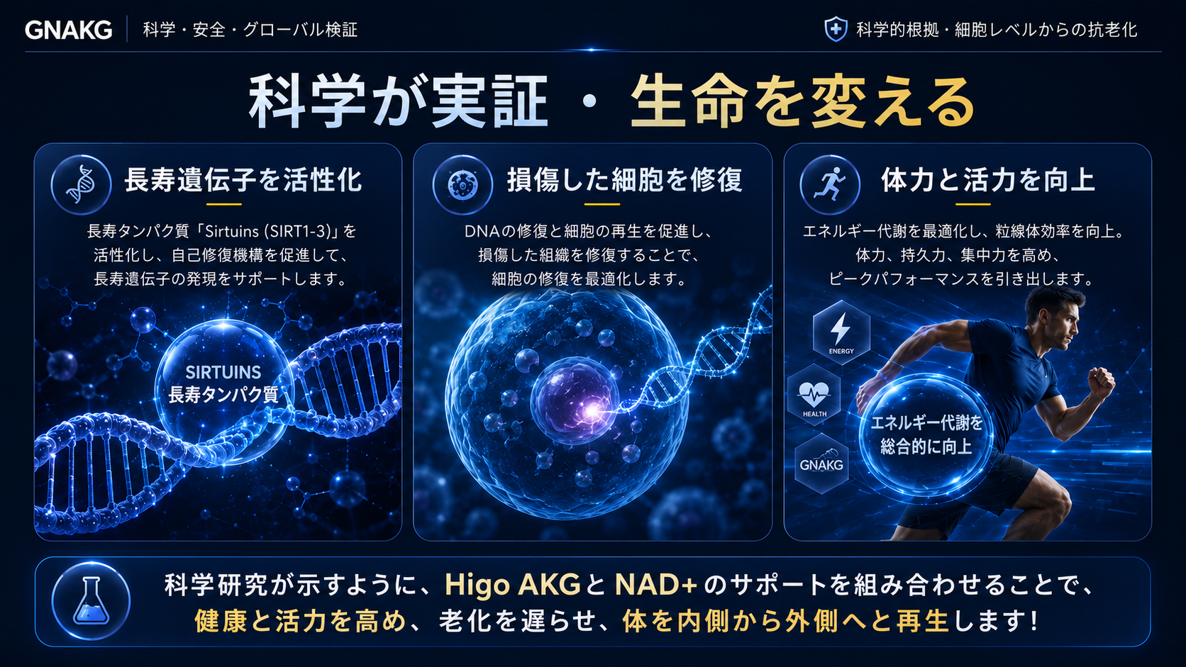 GnAKGとAKG健康商品