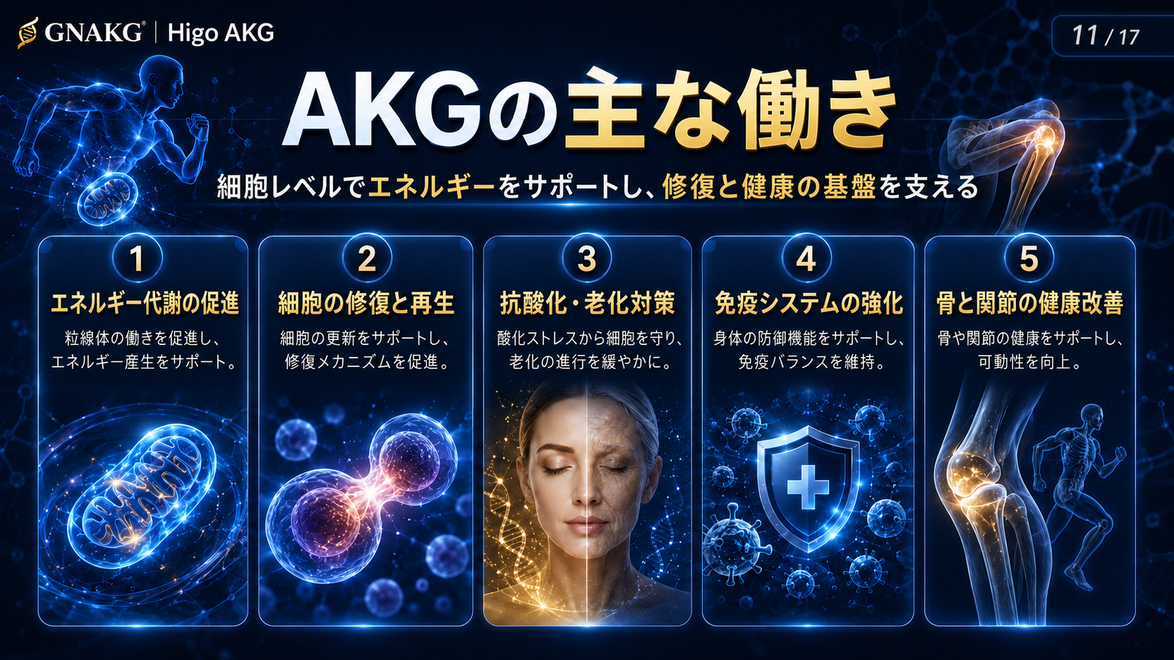 細胞エネルギーと毎日の活力
