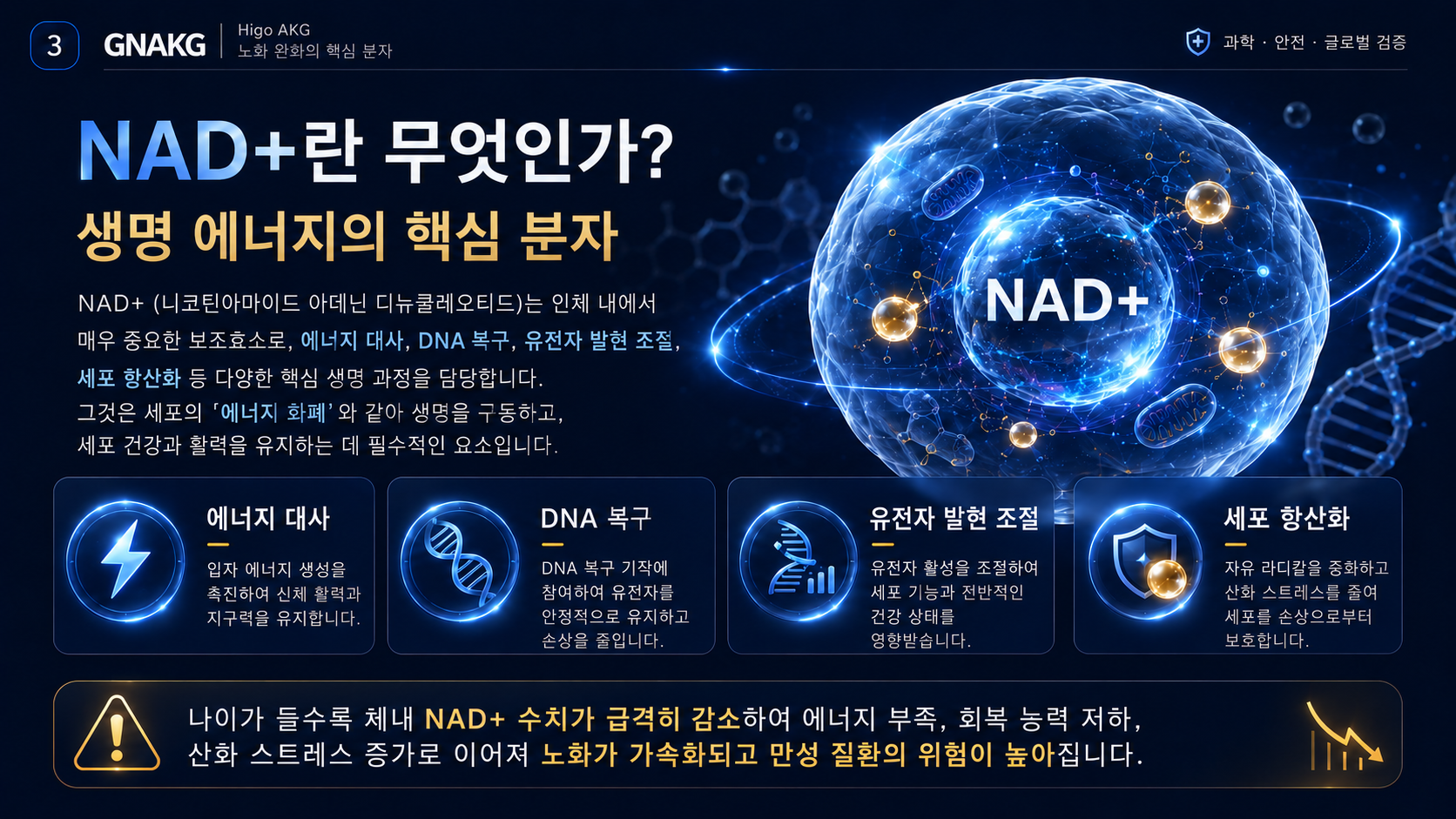 NAD+와 세포 에너지