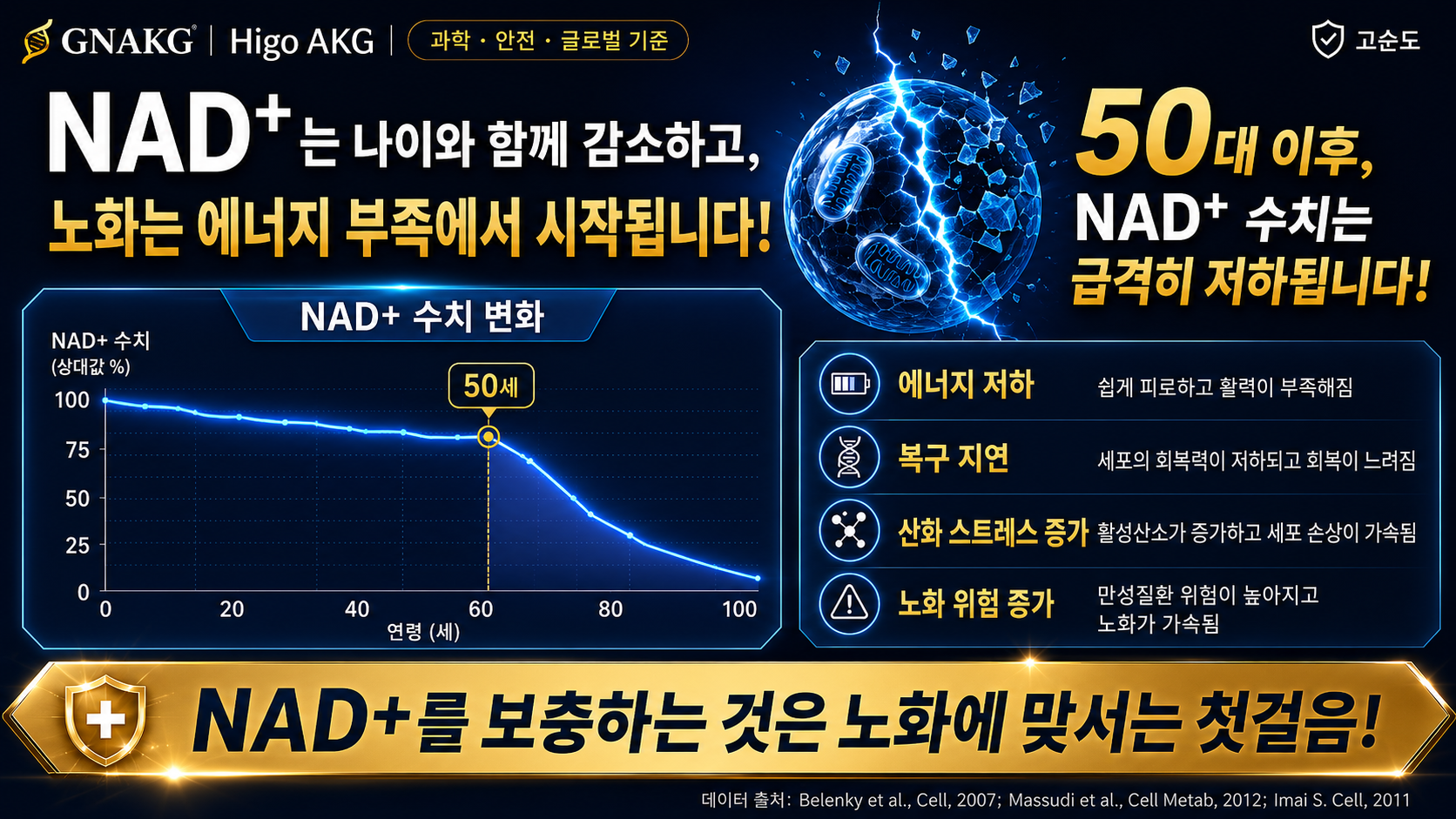 건강한 노화와 항노화 연구