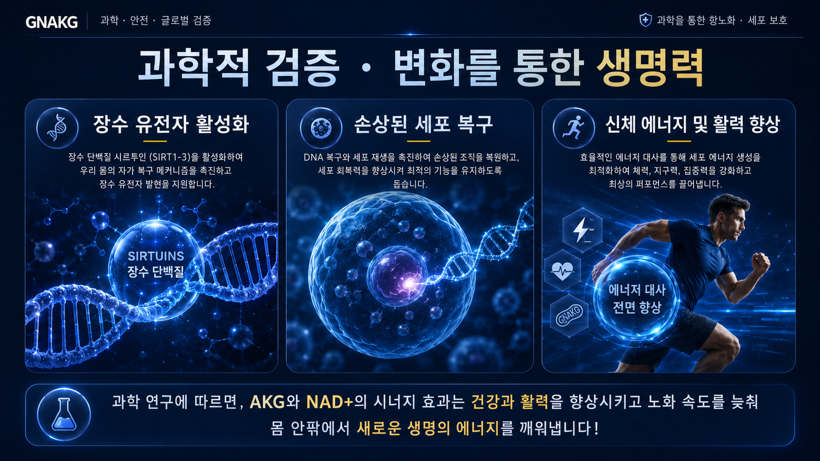 GnAKG와 AKG 건강상품
