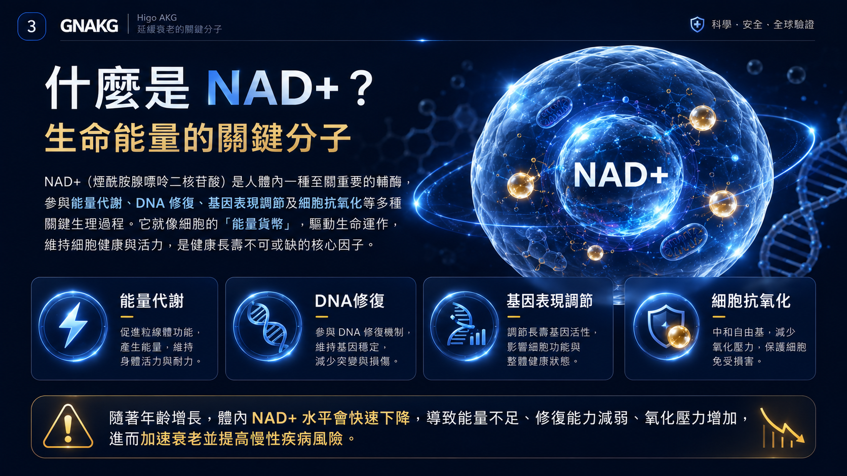 NAD+與粒線體能量、活力及老化研究重點