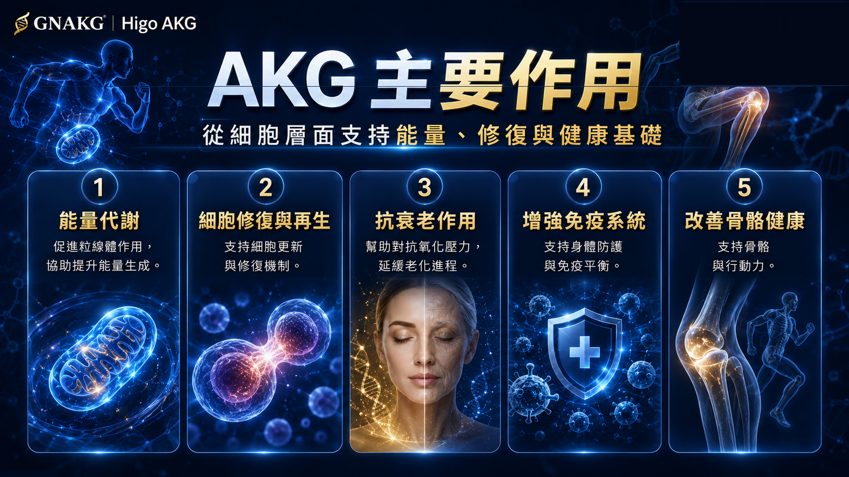 Higo AKG Women與Men細胞能量及每日活力配方
